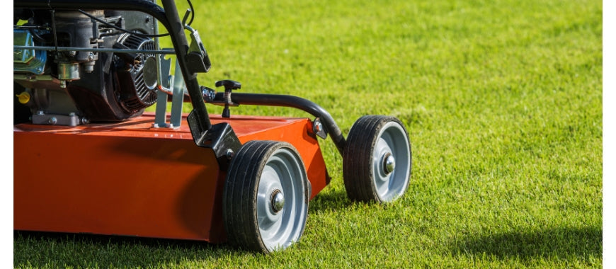 Incontournable tondeuse pour la pelouse de votre jardin