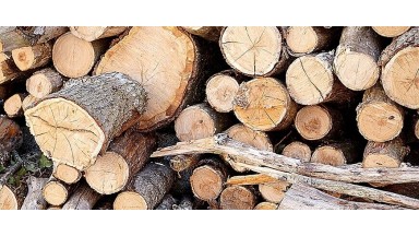 Le bois, énergie renouvelable numéro 1 en France !